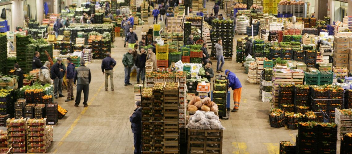 Napoli. Manfredi: Il CAAN asset strategico per lo sviluppo del territorioNapoli.