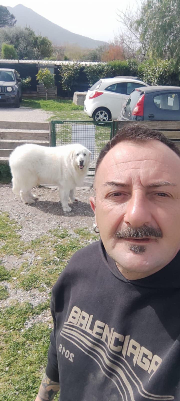 Giovanni De Stefano: “Lotta al randagismo e canili adeguati sono le priorità”. De Stefano  è stato nominato coordinatore provinciale del dipartimento nazionale di Forza Italia per il benessere degli animali.