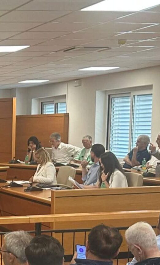 Volla. Consiglio comunale, duro attacco di Simona Mauriello al sindaco e ai Moderati per Volla: “Per la scelta della presidenza consiliare a Manfellotti sono prevalse logiche arroganti, presuntuose e maschiliste.”