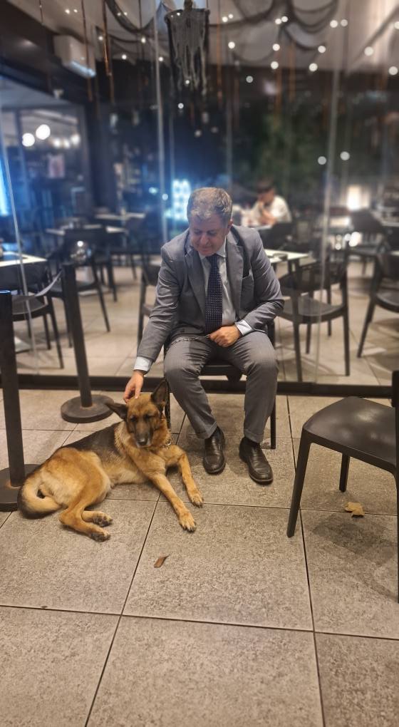 San Sebastiano al Vesuvio. Pastore tedesco trascinato con uno scooter, il sindaco Panico: “Cittadini hanno bloccato il motociclista,denunciato! Immediato intervento dei Carabinieri e Polizia Municipale. Denunciato!”