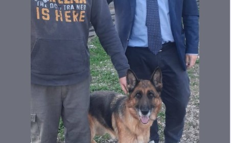 San Sebastiano al Vesuvio. Pastore tedesco ‘Bella’ è al ‘Campo di Billy’, fu maltrattata da un balordo. Il sindaco Panico: “Bella sta meglio, dimessa dalla clinica veterinaria. Ora riportiamola alla socialità”