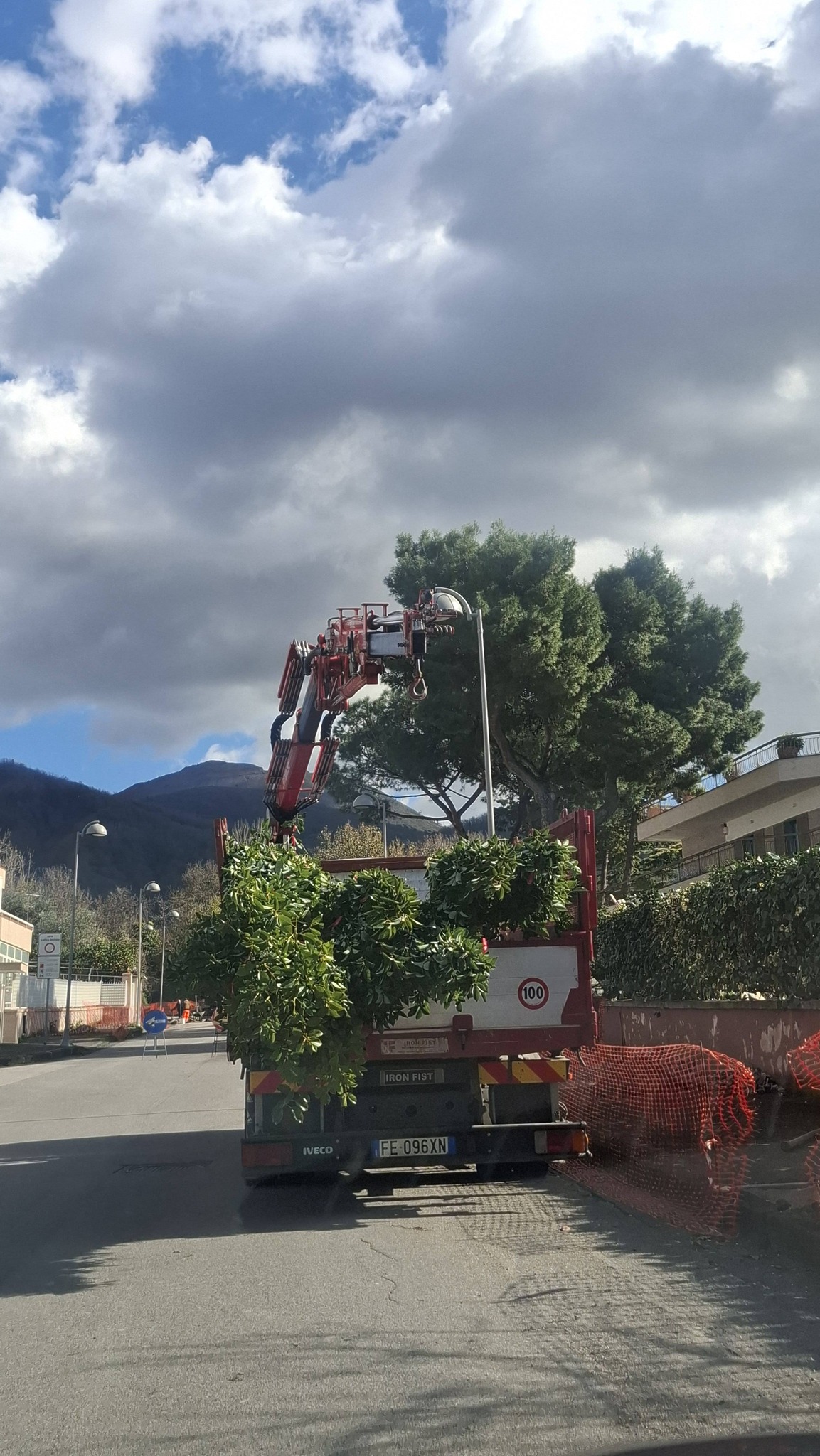 San Sebastiano al Vesuvio. Riqualificazione patrimonio arboreo, il sindaco Panico: “Oltre 140 alberi ripiantumati .Miglioreremo le vedute del Vesuvio e del Golfo di Napoli”
