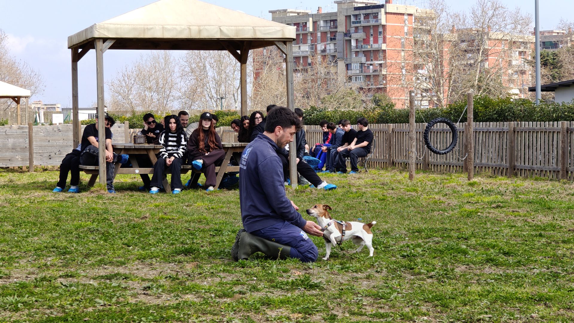 Napoli. Educare al rispetto degli animali, incontri con le scuole presso “La Collina di Argo”. Il progetto realizzato dal Comune e dall’Asl